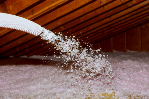 Best Insulation Removal  in Riner, VA