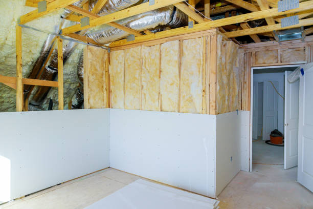 Best Insulation Replacement Services  in Riner, VA