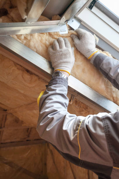 Best Home Insulation Services  in Riner, VA