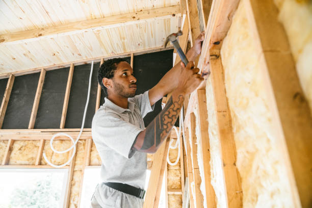 Best Insulation Repair Services  in Riner, VA